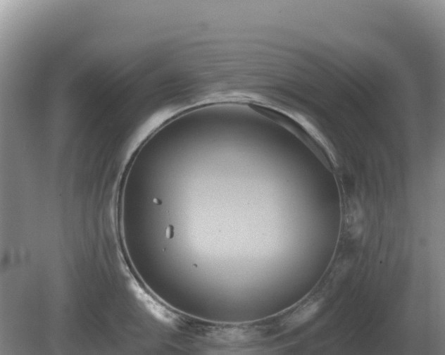 X0000081301054200701181830