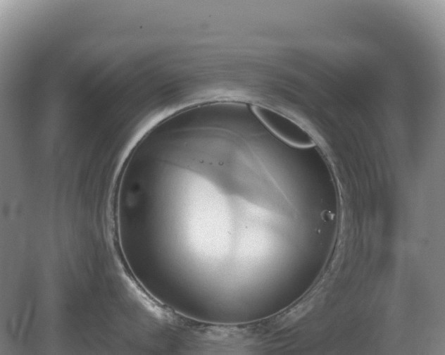 X0000081301056200701181830