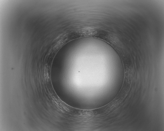 X0000081301058200701181829