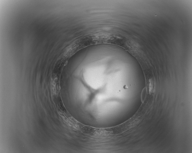 X0000081301059200701181829