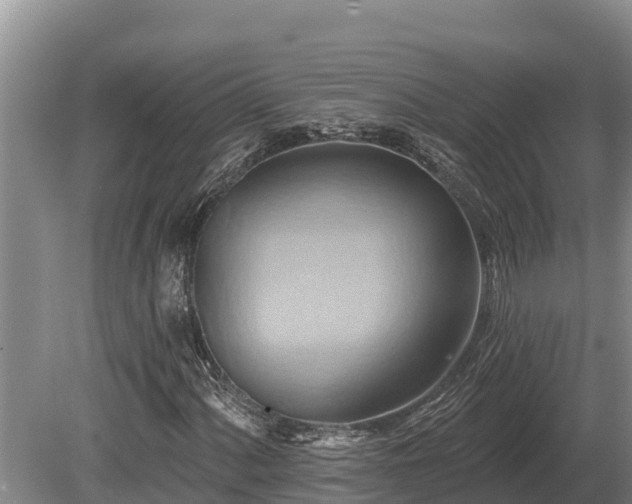 X0000081301060200701181829