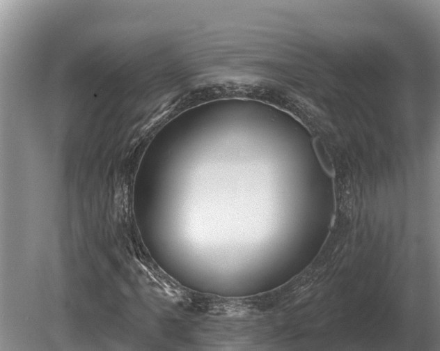 X0000081301061200701181829