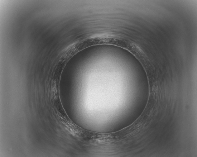 X0000081301062200701181829