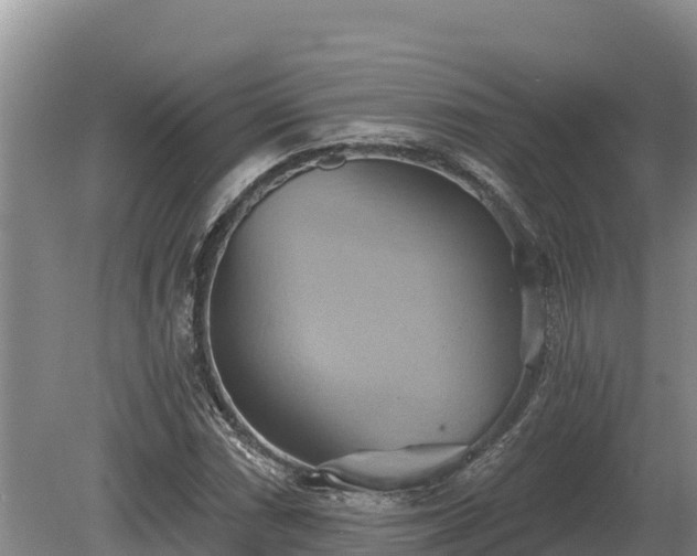 X0000081301066200701181829