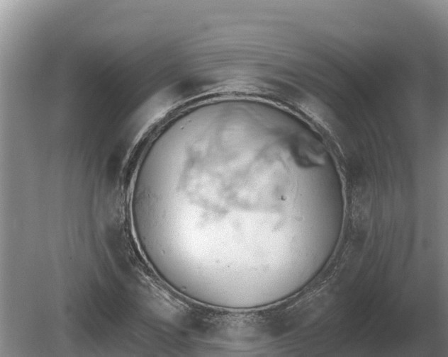 X0000081301067200701181829