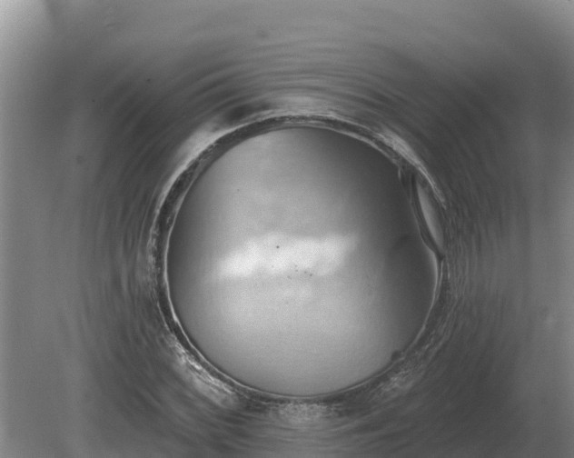 X0000081301068200701181829