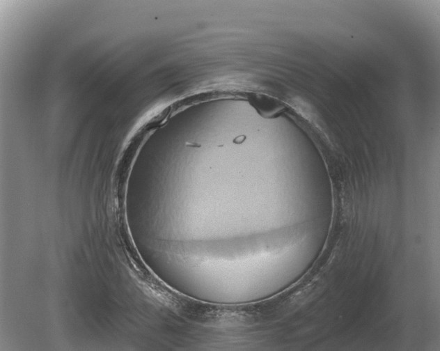 X0000081301070200701181829