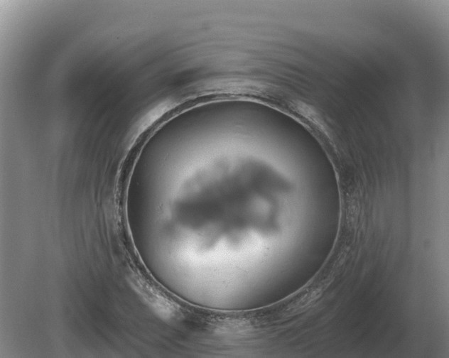 X0000081301071200701181829