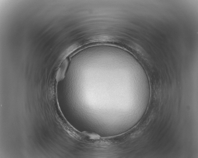 X0000081301073200701181829