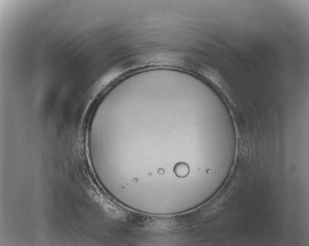 X0000081301074200701181829