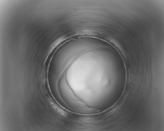 X0000081301075200701181829