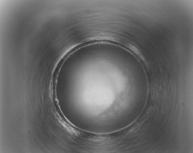 X0000081301076200701181829