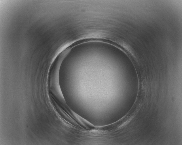 X0000081301077200701181829