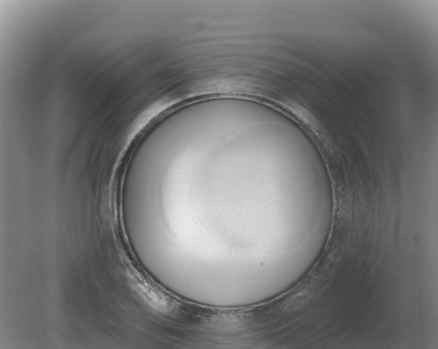 X0000081301078200701181829