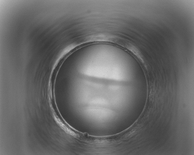 X0000081301080200701181829