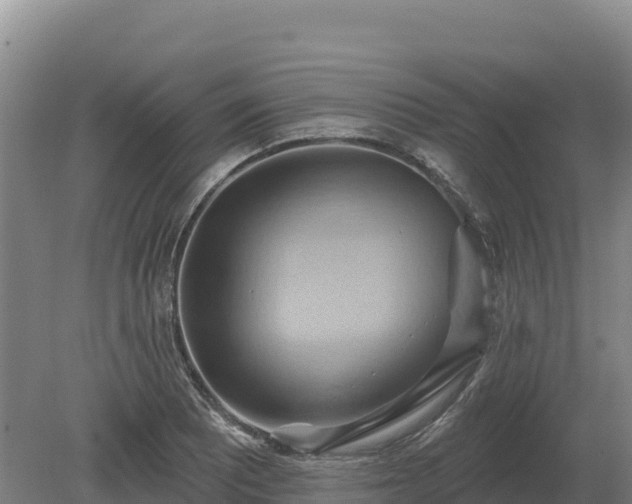 X0000081301081200701181829