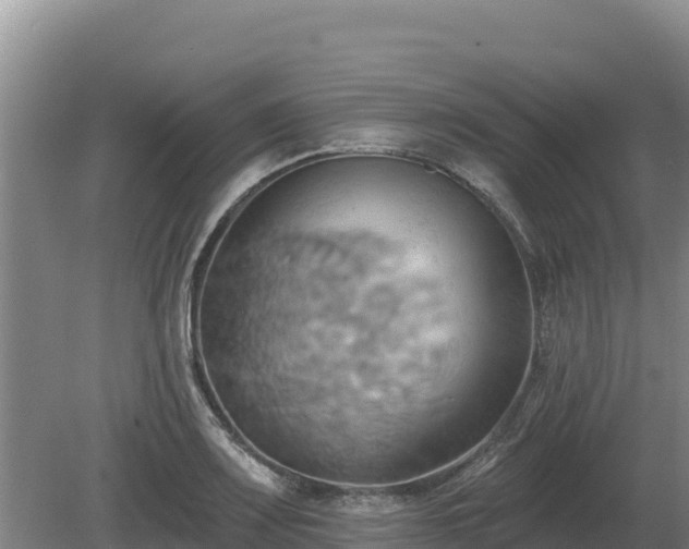 X0000081301083200701181829