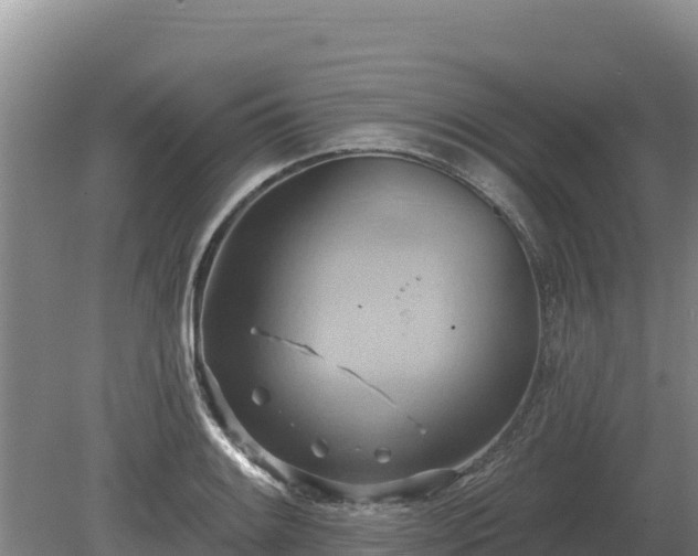 X0000081301084200701181829