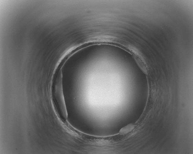 X0000081301085200701181829