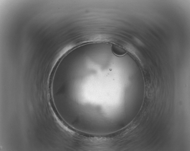 X0000081301087200701181829