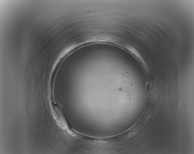 X0000081301088200701181829