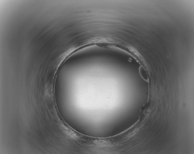 X0000081301089200701181829