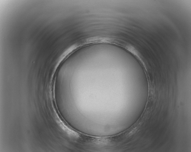 X0000081301090200701181829