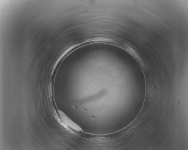 X0000081301092200701181829