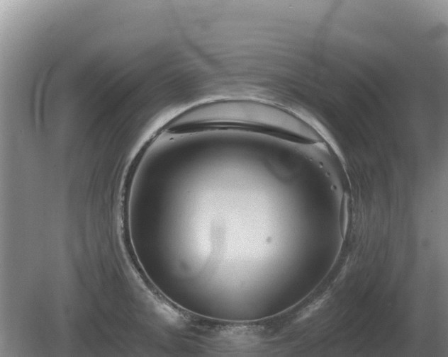 X0000081301093200701181829