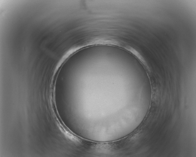 X0000081301094200701181829