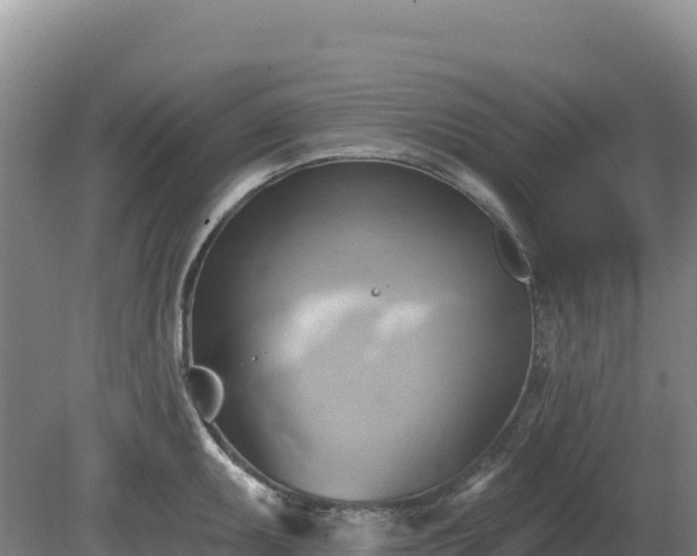 X0000081301095200701181829