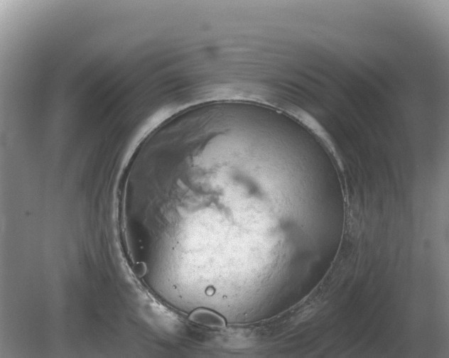 X0000081301096200701181829