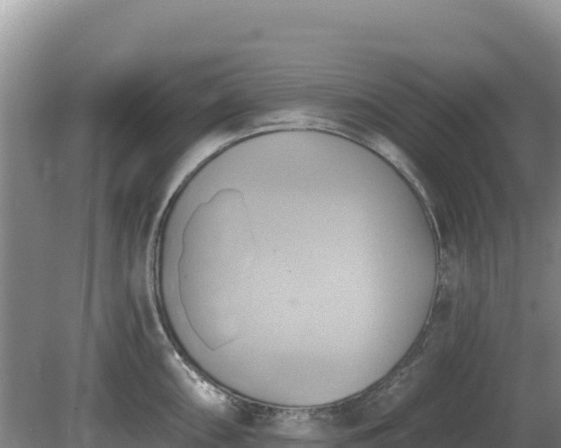 X0000081301098200701181829