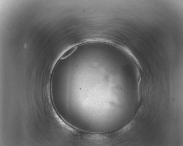 X0000081301100200701181829