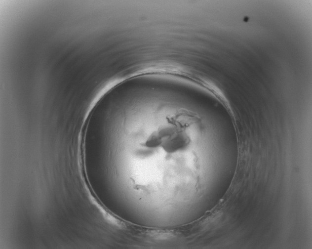 X0000081301103200701181829