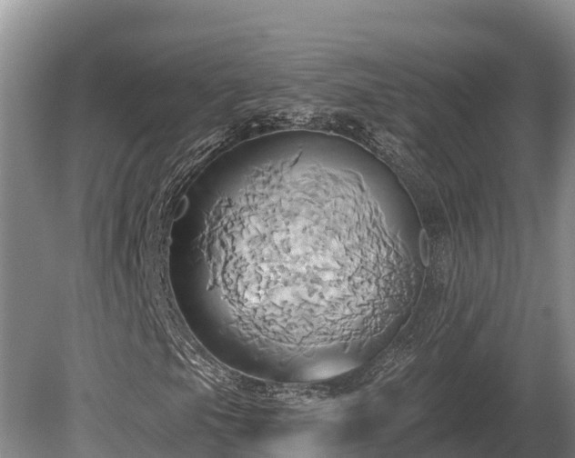 X0000081301105200701181828