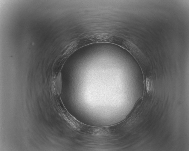 X0000081301107200701181828