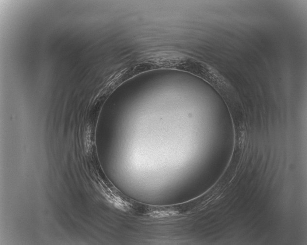 X0000081301108200701181828