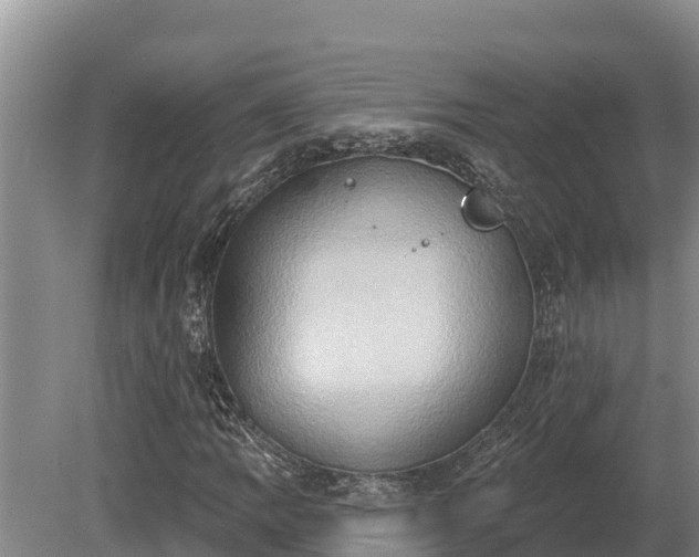 X0000081301109200701181828