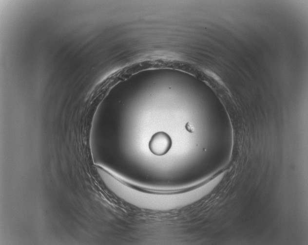 X0000081301112200701181828