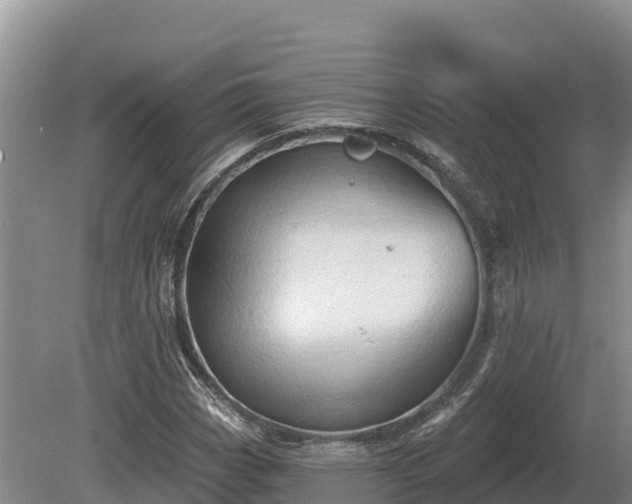 X0000081301113200701181828