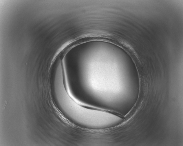 X0000081301114200701181828