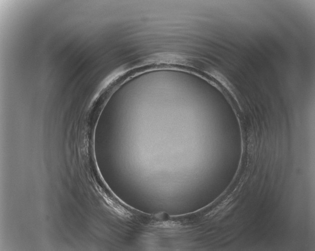 X0000081301115200701181828