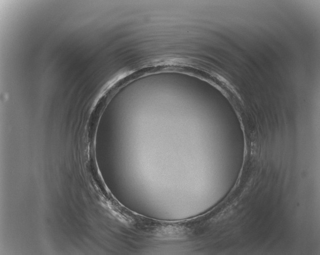 X0000081301117200701181828