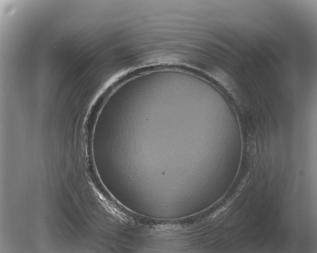 X0000081301118200701181828