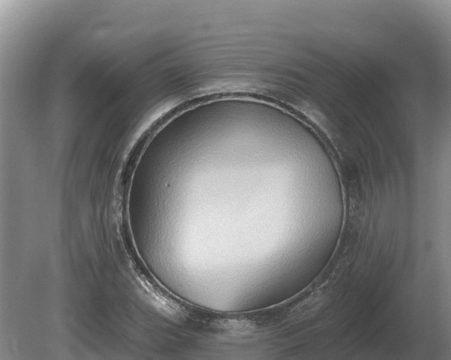 X0000081301119200701181828