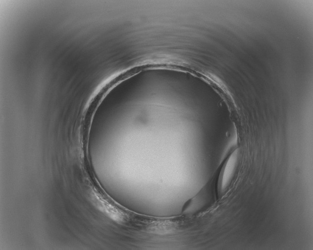 X0000081301120200701181828