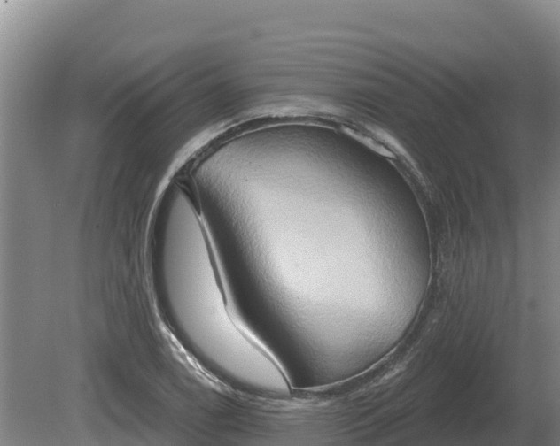 X0000081301122200701181828