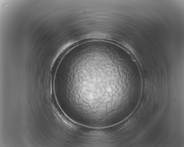 X0000081301123200701181828