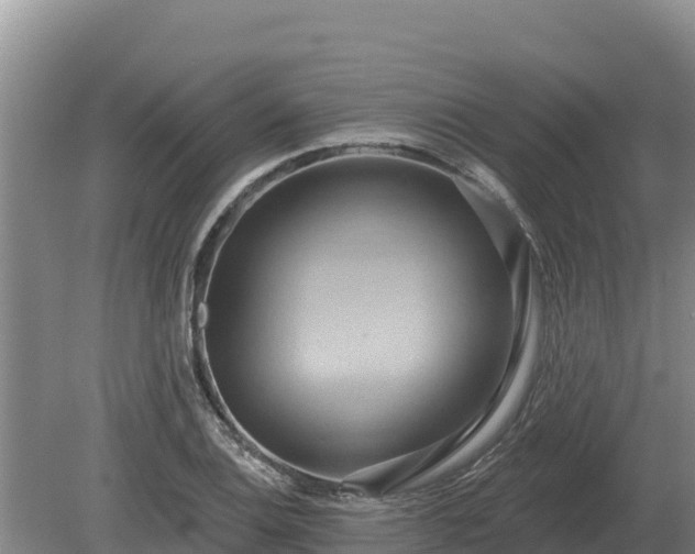 X0000081301124200701181828